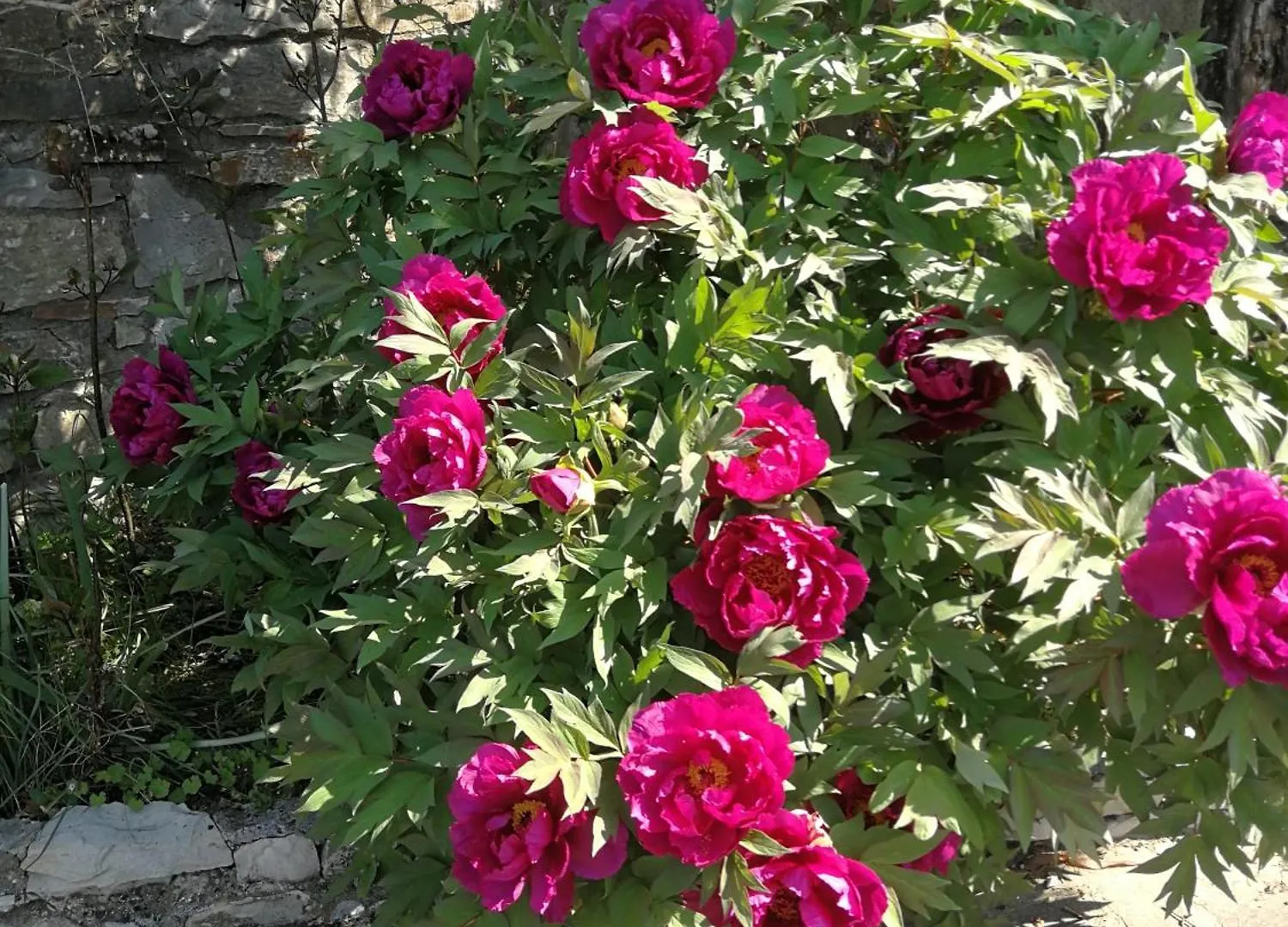 Locanda Verde Vaiano  Guest house Vaiano (Tuscany)